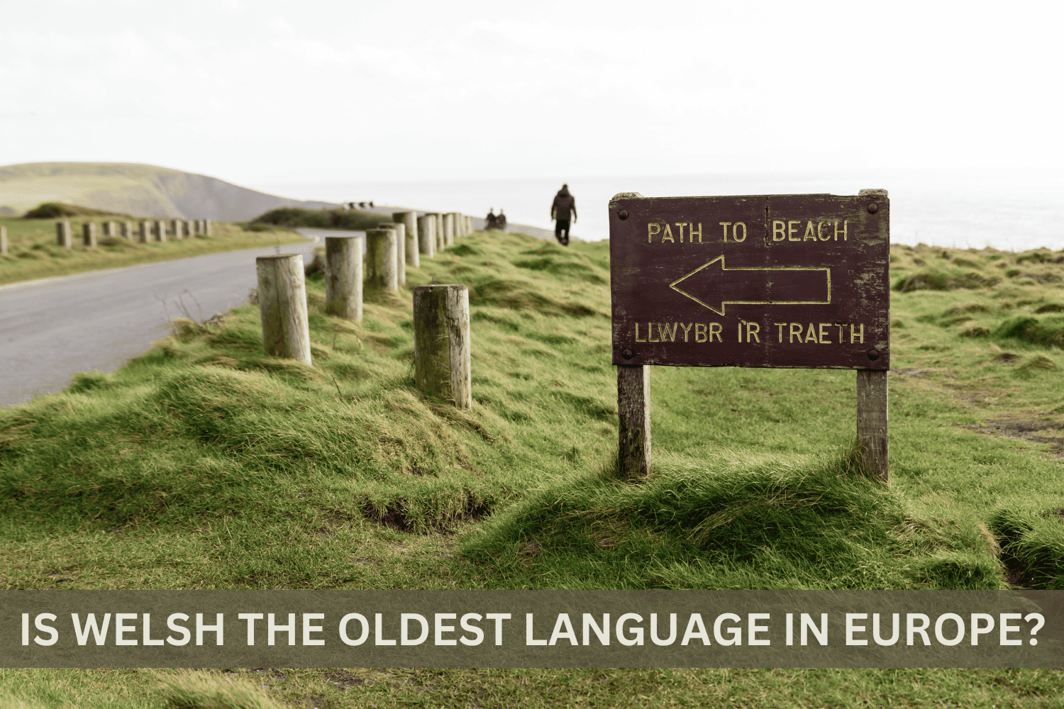 Is Welsh the Oldest Language in Europe?